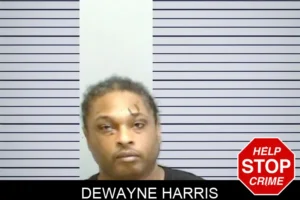 Dewayne Harris mugshot