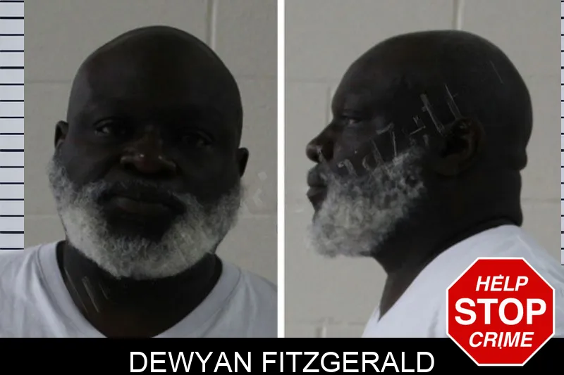 Dewyan Fitzgerald mugshot – Houston County , Georgia Dewyan Fitzgerald mugshot