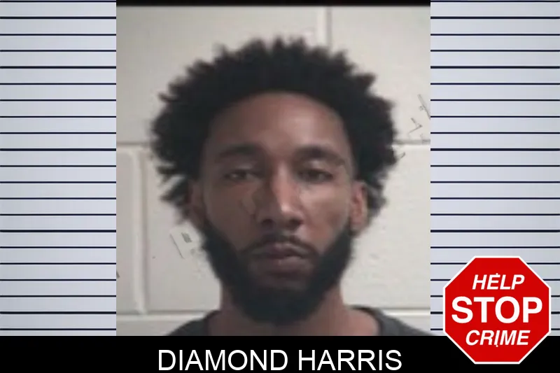 Diamond Harris Mugshots