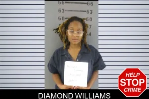 Diamond Williams mugshot
