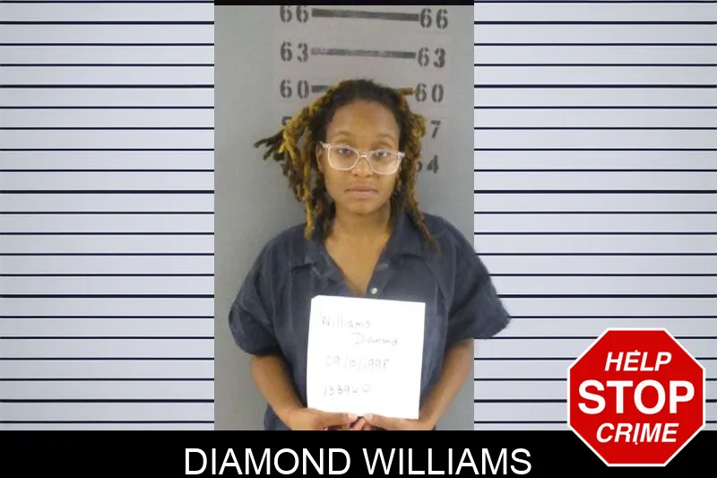 Diamond Williams mugshot – Dougherty County , Georgia Diamond Williams mugshot
