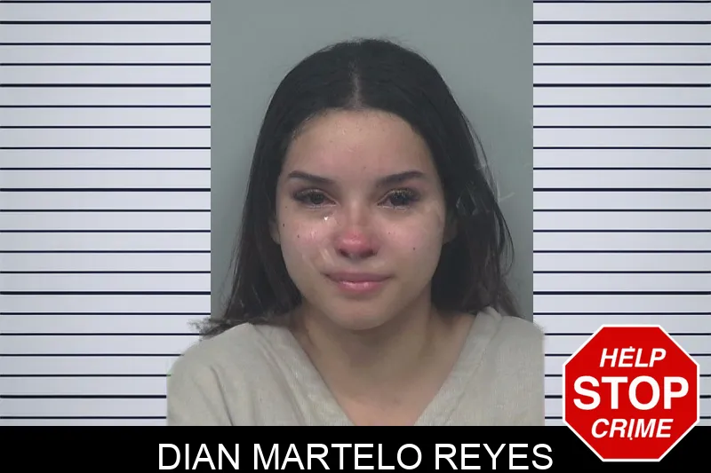 Dian Martelo Reyes Mugshots