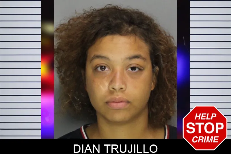 Dian Trujillo Mugshots