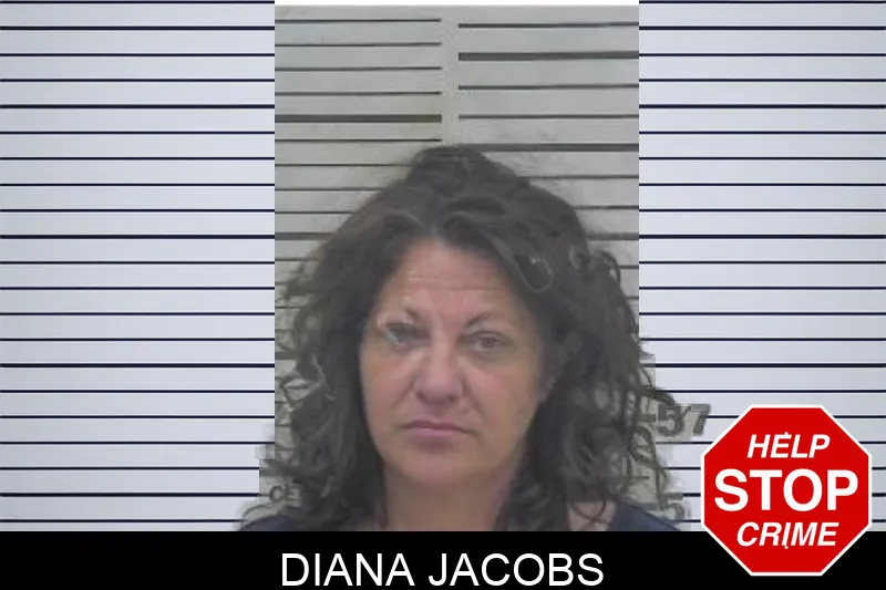 Diana Jacobs Mugshots