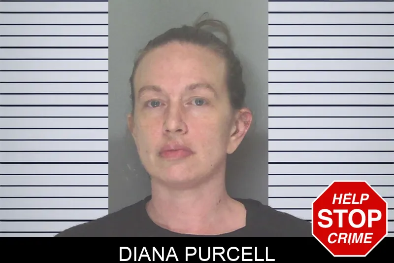 Diana Purcell mugshot – Douglas County , Georgia Diana Purcell mugshot
