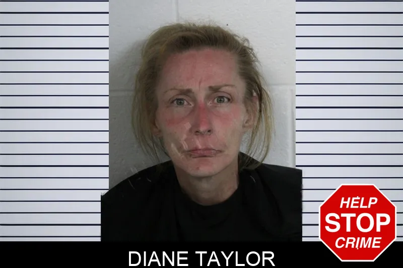 Diane Taylor Mugshots