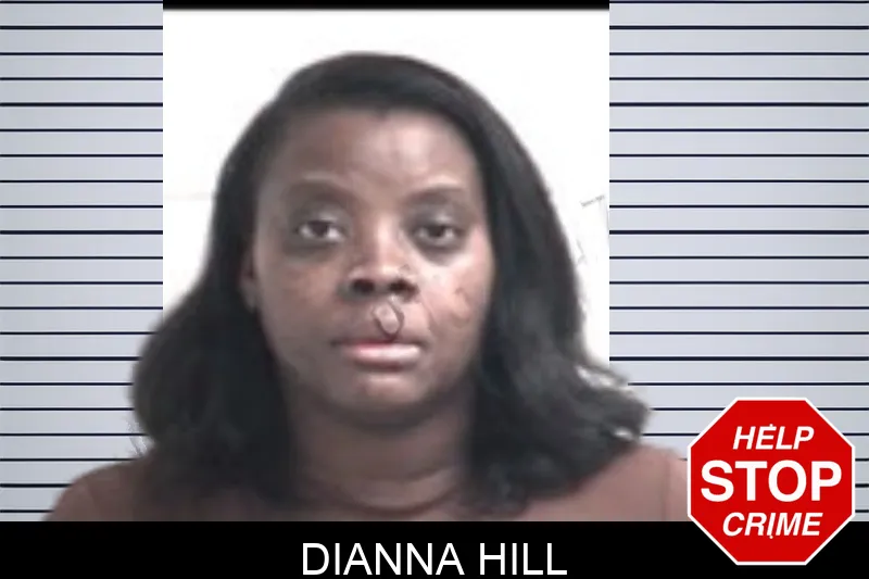 Dianna Hill Mugshots