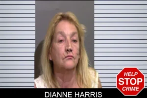 Dianne Harris mugshot