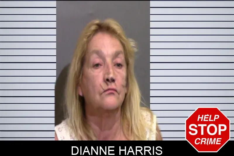 Dianne Harris Mugshots