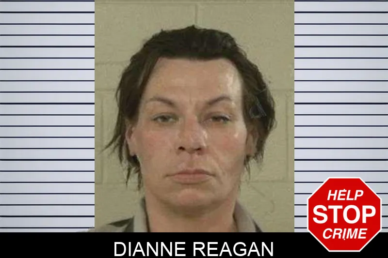 Dianne Reagan mugshot – Liberty County , Georgia Dianne Reagan mugshot