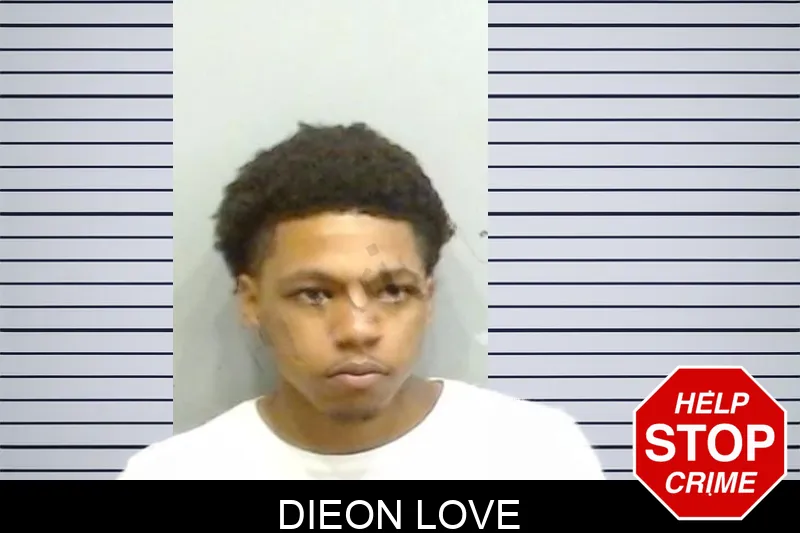 Dieon Love Mugshots