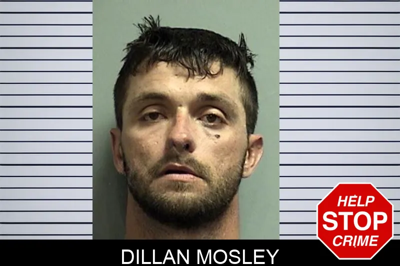 Dillan Mosley
