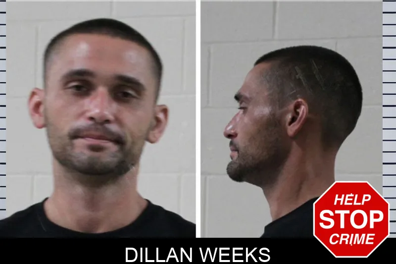 Dillan Weeks mugshot