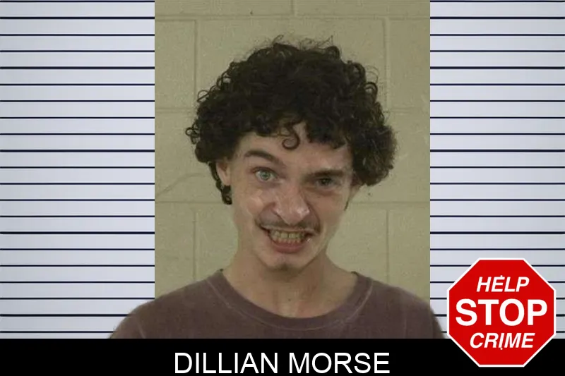 Dillian Morse Mugshots