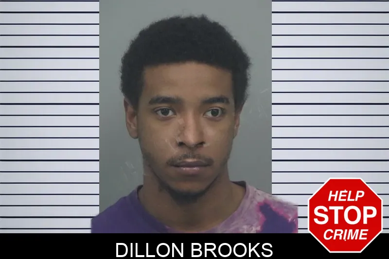 Dillon Brooks Mugshots
