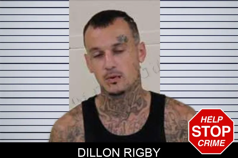 Dillon Rigby Mugshots