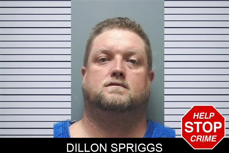 Dillon Spriggs mugshot