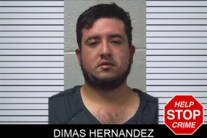 Dimas Hernandez mugshot