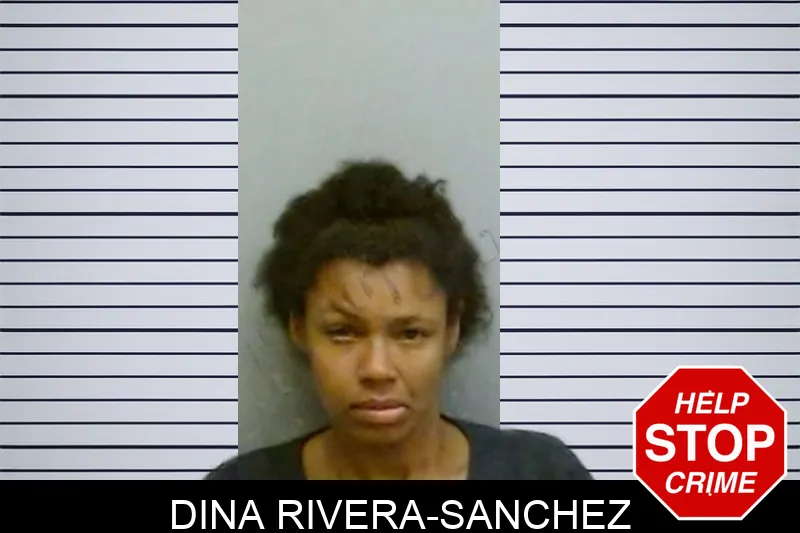 Dina Rivera-Sanchez mugshot
