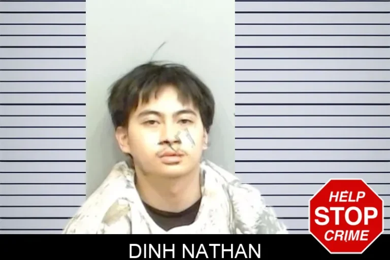 Dinh Nathan mugshot – Fulton County , Georgia Dinh Nathan