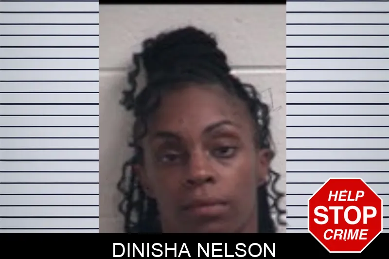 Dinisha Nelson Mugshots