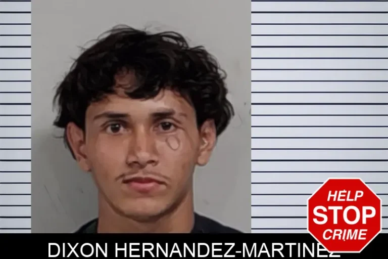 Dixon Hernandez-Martinez mugshot – Lowndes County , Georgia Dixon Hernandez-Martinez