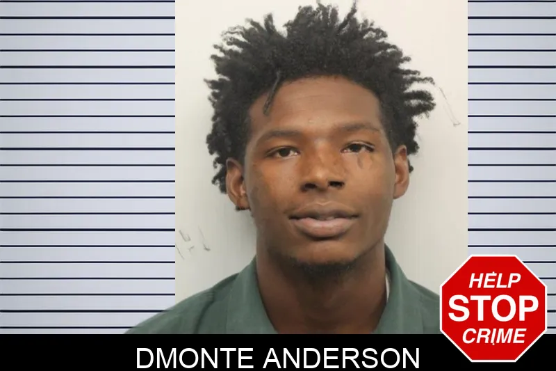 Dmonte Anderson Mugshots