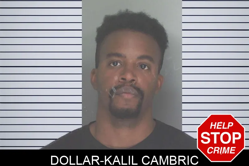 Dollar-Kalil Cambric Mugshots