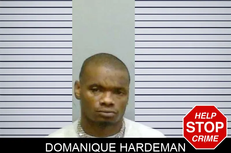 Domanique Hardeman mugshot – Fulton County , Georgia Domanique Hardeman mugshot