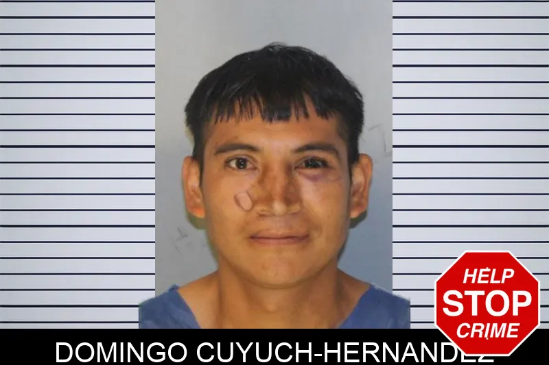 Domingo Cuyuch-Hernandez Mugshots