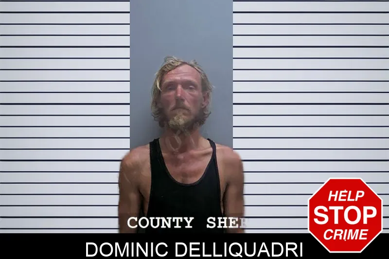 Dominic Delliquadri Mugshots