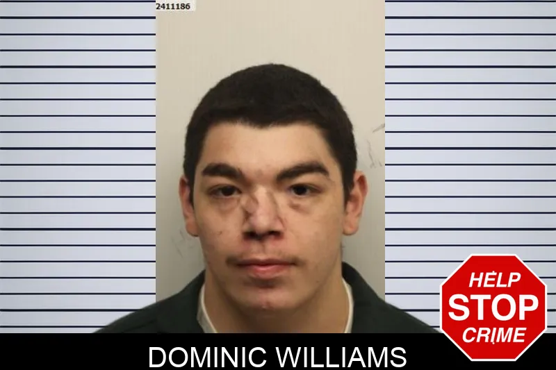 Dominic Williams Mugshots
