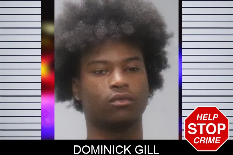 Dominick Gill mugshot