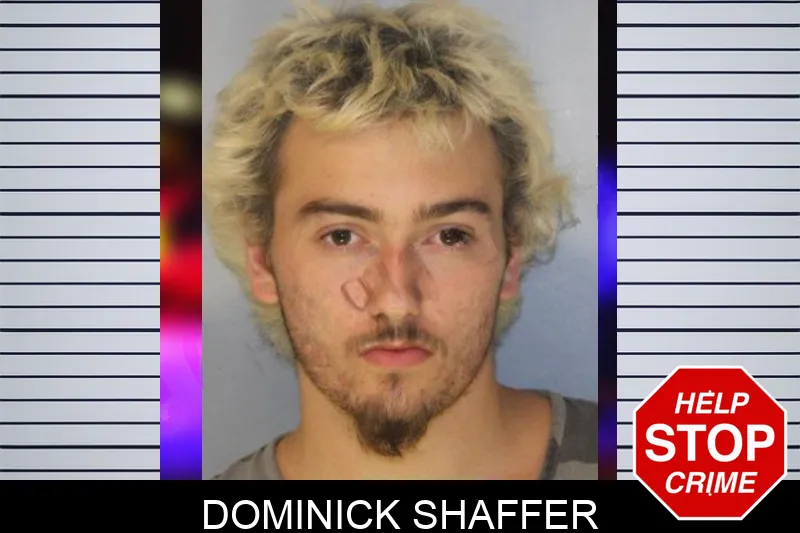 Dominick Shaffer mugshot
