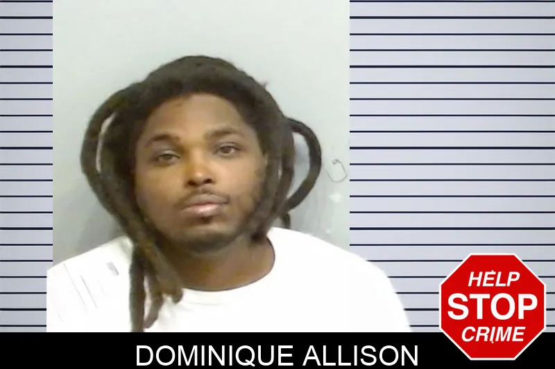 Dominique Allison Mugshots