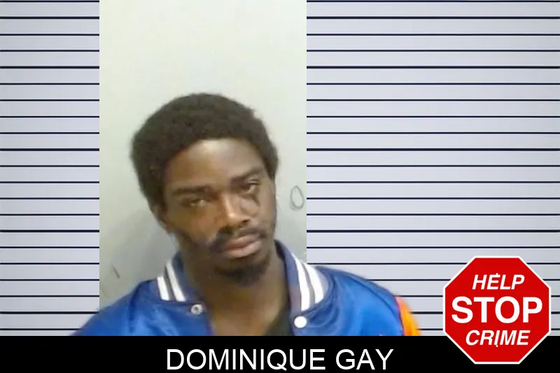 Dominique Gay mugshot