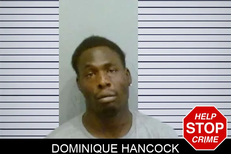 Dominique Hancock Mugshots