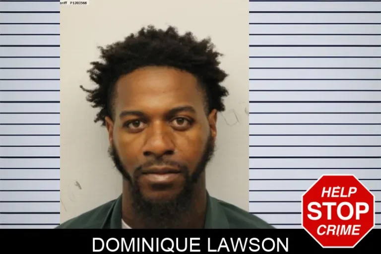 Dominique Lawson mugshot – Chatham County , Georgia Dominique Lawson