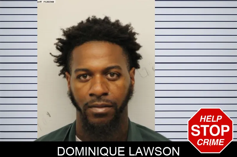 Dominique Lawson Mugshots