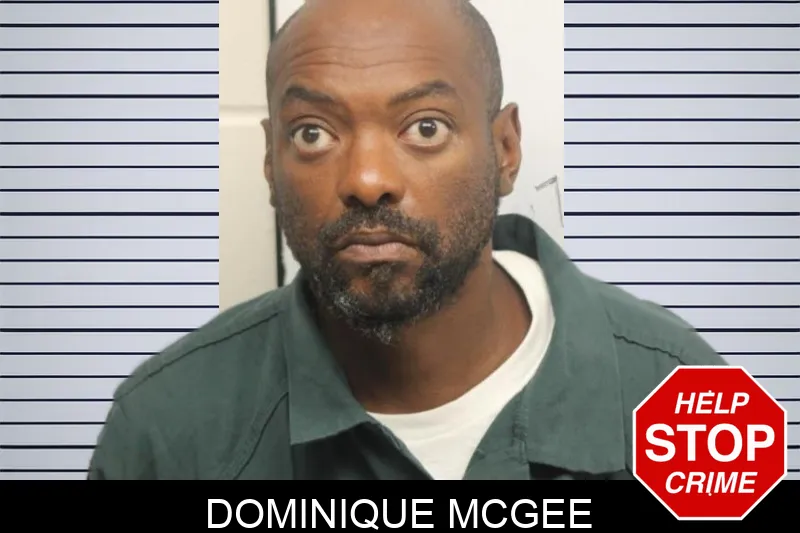 Dominique McGee Mugshots