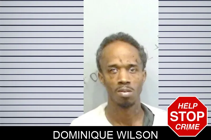 Dominique Wilson mugshot