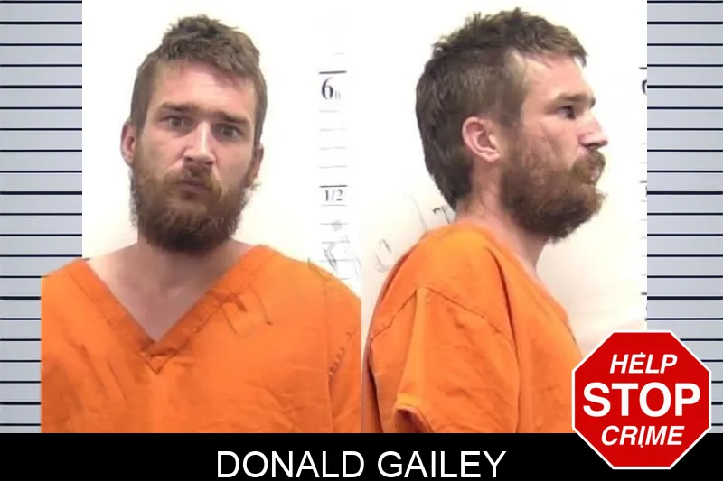 Donald Gailey Mugshots