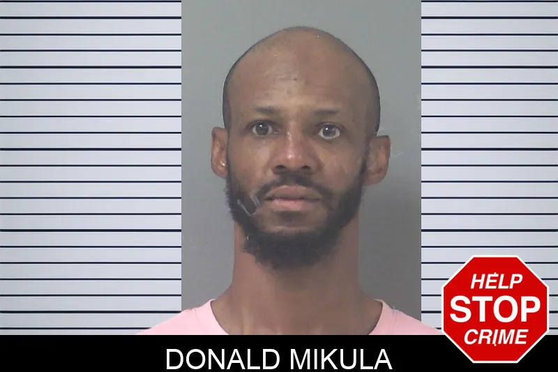 Donald Mikula Mugshots
