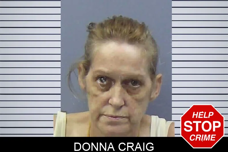 Donna Craig Mugshots