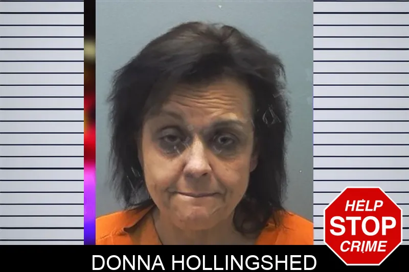 Donna Hollingshed Mugshots
