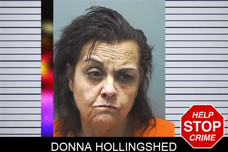 Donna Hollingshed Mugshots