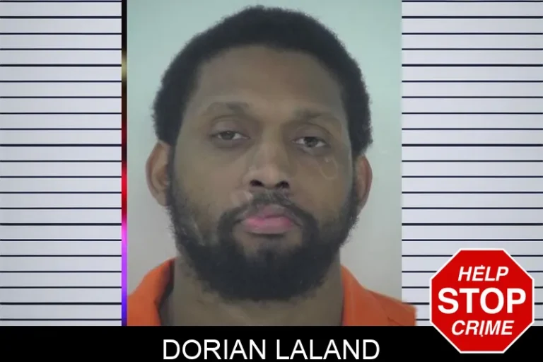 Dorian Laland