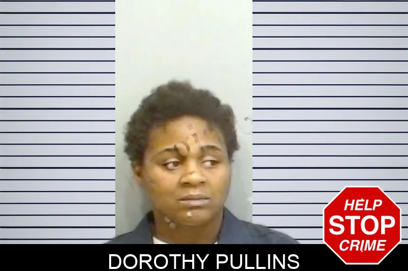 Dorothy Pullins Mugshots