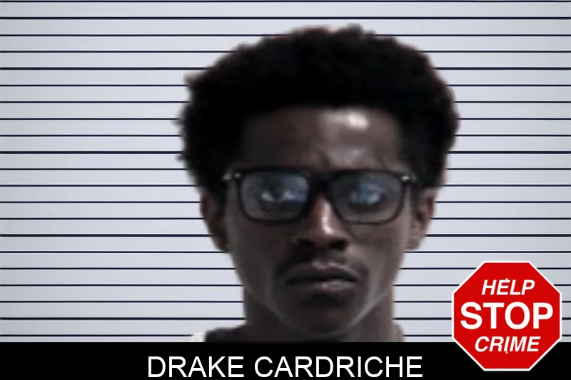 Drake Cardriche mugshot – Henry County , Georgia Drake Cardriche mugshot