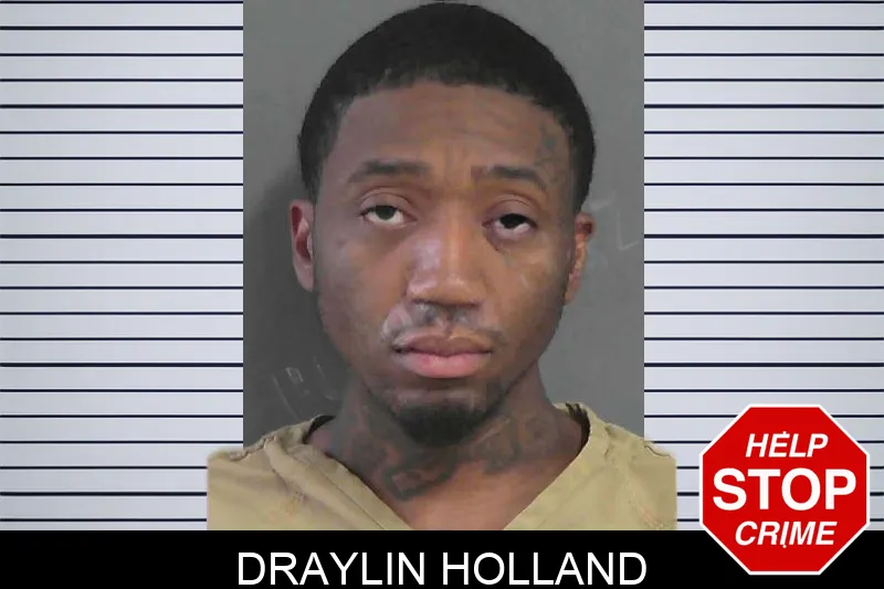 Draylin Holland Mugshots